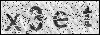Checksum